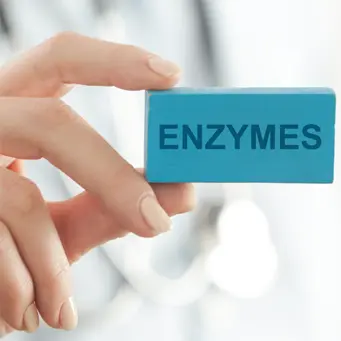 Enzymen