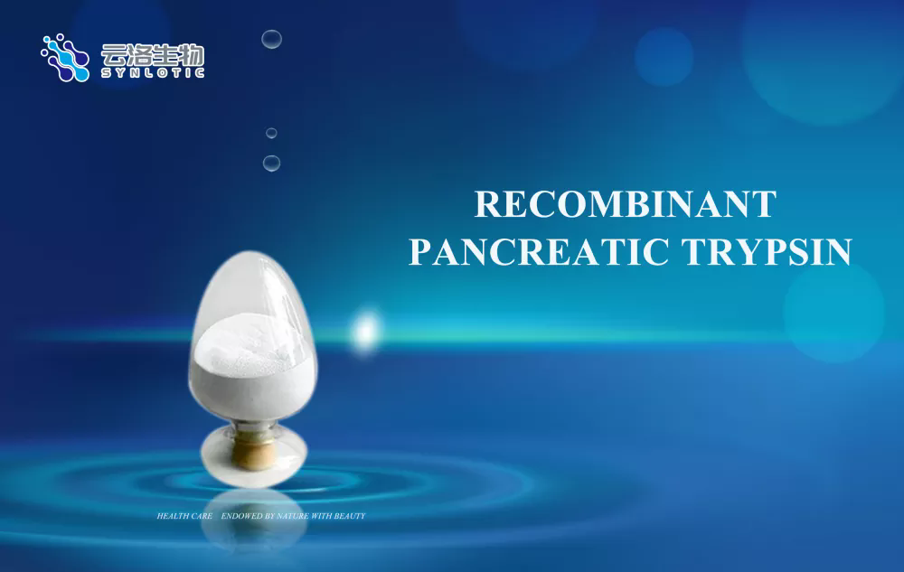 Wat is recombinant pancreas trypsine en wat is de functie?