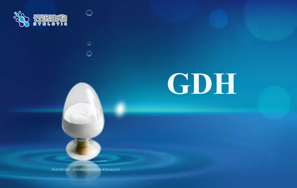 Wat zijn de basisconcepten van enzymen?