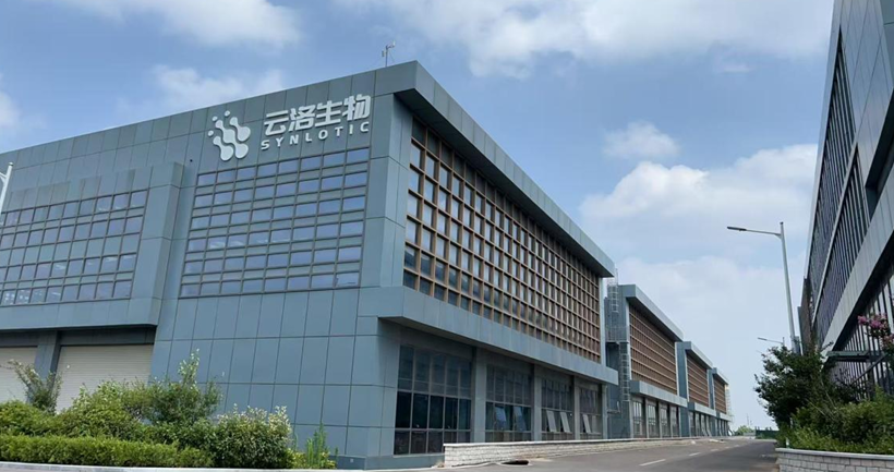 Hartelijk welkom aan secretaris Li Yongguang voor de planning ter plaatse van de bouwwerkzaamheden van het Shandong Yunluo-project!